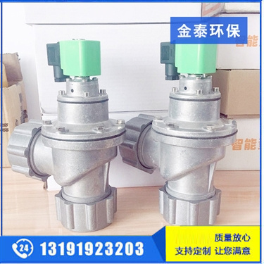 袋配式帶螺母電磁脈沖閥 袋配式帶螺母電磁脈沖閥